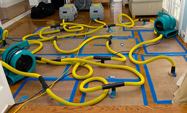 Professional Burst Pipe Water Damage technician working in Lake in the Hills, IL